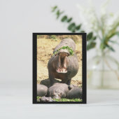 Carte Postale Hippo Yell (Debout devant)