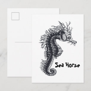 CARTE POSTALE HIPPOCAMPE