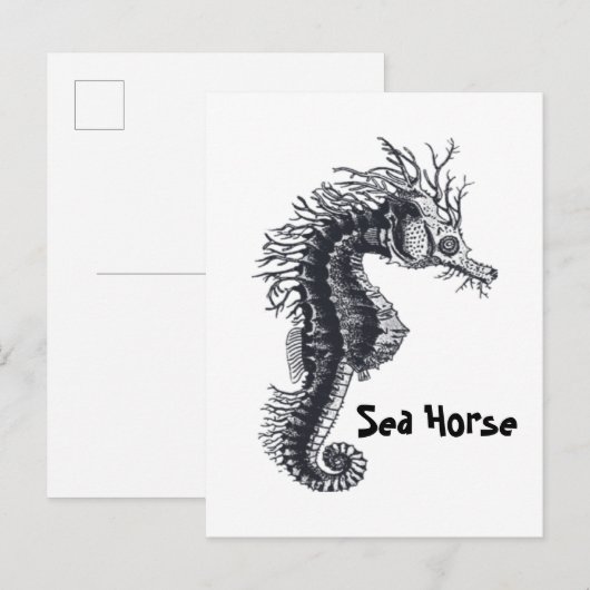 CARTE POSTALE HIPPOCAMPE (Devant / Derrière)