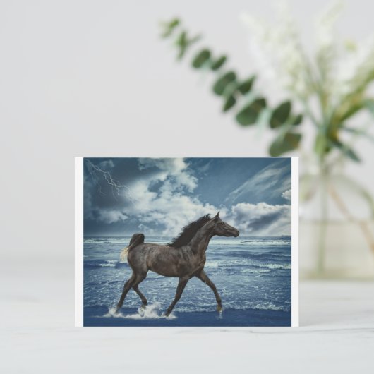 Carte Postale Hippocampe (Debout devant)