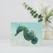 Carte Postale Hippocampe à bec court | Crimée, Russie (Debout devant)