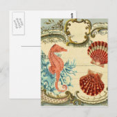 Carte Postale hippocampe de coquillages vintages français (Devant / Derrière)