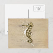 Carte Postale Hippocampe démodé sur l'arrière - plan de papier (Devant / Derrière)