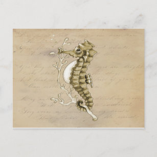 Carte Postale Hippocampe démodé sur l'arrière - plan de papier