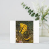 Carte Postale Hippocampe jaune (Debout devant)