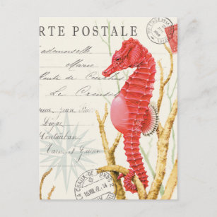 Carte Postale hippocampe vintage
