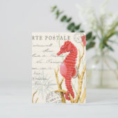 Carte Postale hippocampe vintage moderne (Debout devant)