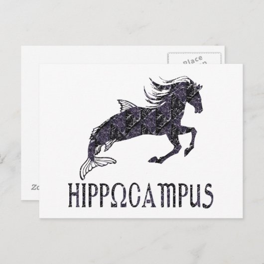 Carte Postale Hippocampus (Devant / Derrière)