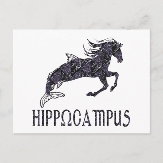 Carte Postale Hippocampus (Devant)