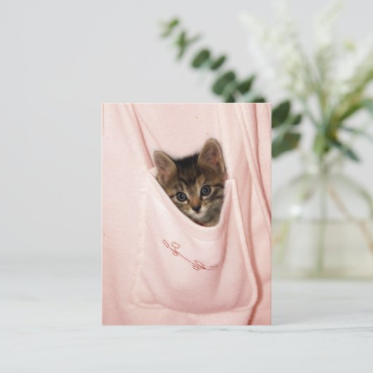 Carte Postale Hippodrome (Debout devant)