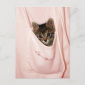 Carte Postale Hippodrome (Devant)