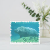 Carte postale Hippopatumus Habitat (Debout devant)