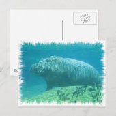 Carte postale Hippopatumus Habitat (Devant / Derrière)