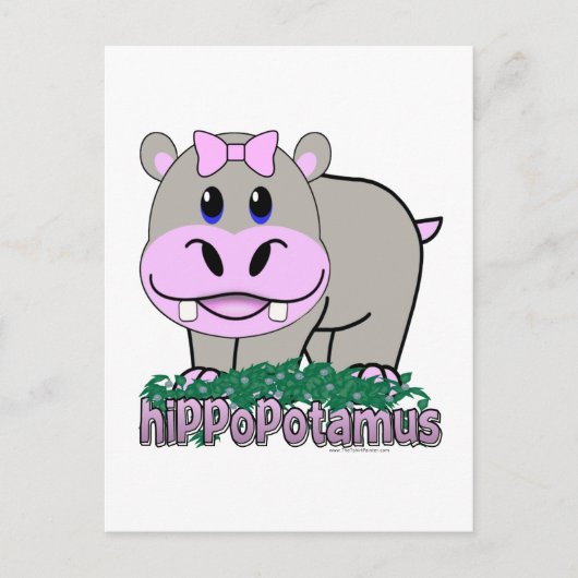 Carte Postale Hippopotame (Devant)