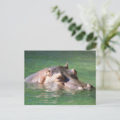 Carte Postale Hippopotame Nager À La Surface (Debout devant)