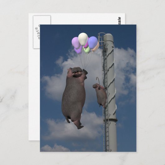 Carte Postale Hippopotame volant (Devant / Derrière)