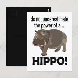 Carte Postale Hippopotamus Animal drôle Hippo