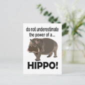 Carte Postale Hippopotamus Animal drôle Hippo (Debout devant)