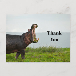 Carte Postale Hippopotamus Merci photo