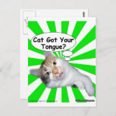 Carte Postale Hippy Kitty Cat Got Your Tongue? (Devant / Derrière)