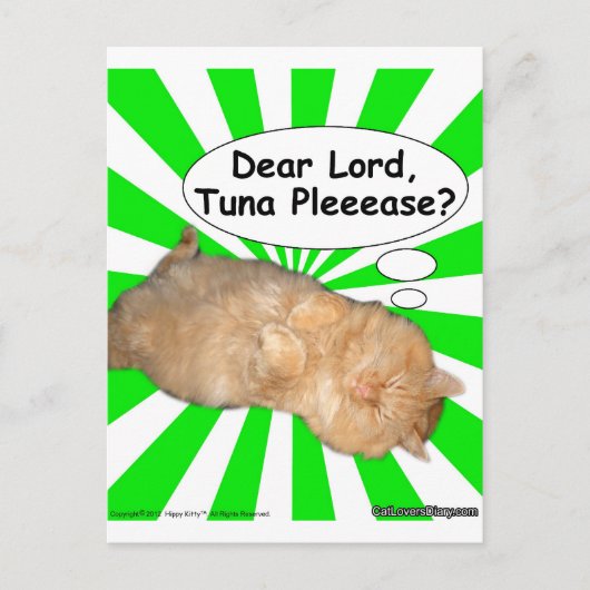 Carte Postale Hippy Kitty Cher Seigneur, Thon S'Il Vous Plaît ? (Devant)