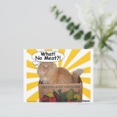 Carte Postale Hippy Kitty Quoi ! Pas de viande ? ! (Debout devant)