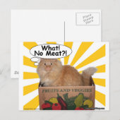 Carte Postale Hippy Kitty Quoi ! Pas de viande ? ! (Devant / Derrière)