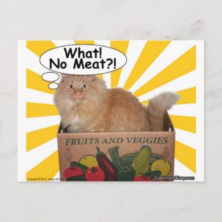 Carte Postale Hippy Kitty Quoi ! Pas de viande ? !