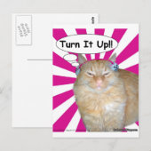 Carte Postale Hippy Kitty Turn It Up!! (Devant / Derrière)
