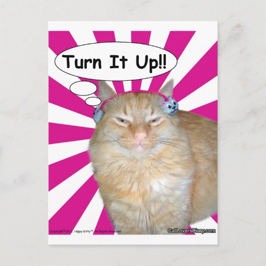 Carte Postale Hippy Kitty Turn It Up!! (Devant)