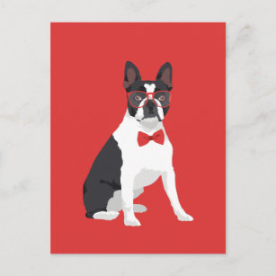 Carte Postale Hipster Boston Terrier avec lunettes rouges et Cra