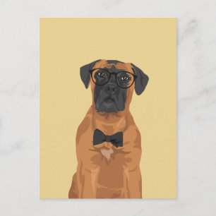 Carte Postale Hipster Bull Mastiff pour Amoureux de les chiens