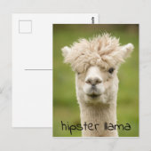 Carte Postale Hipster Lama drôle Hairdo (Devant / Derrière)