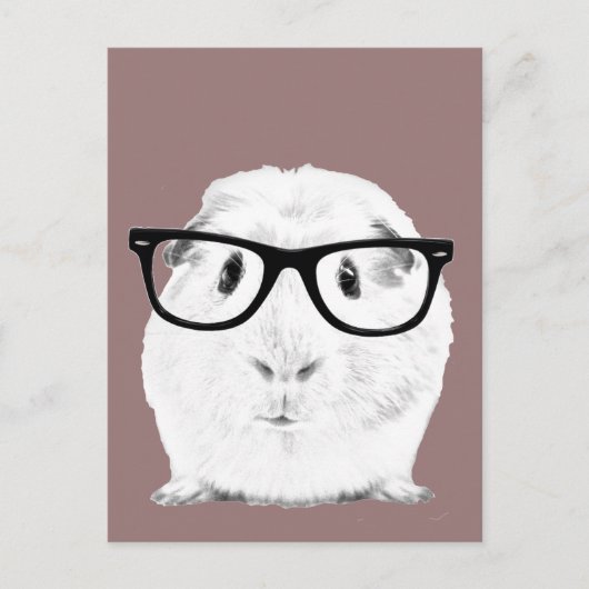 Carte Postale Hipster Pigster (Devant)