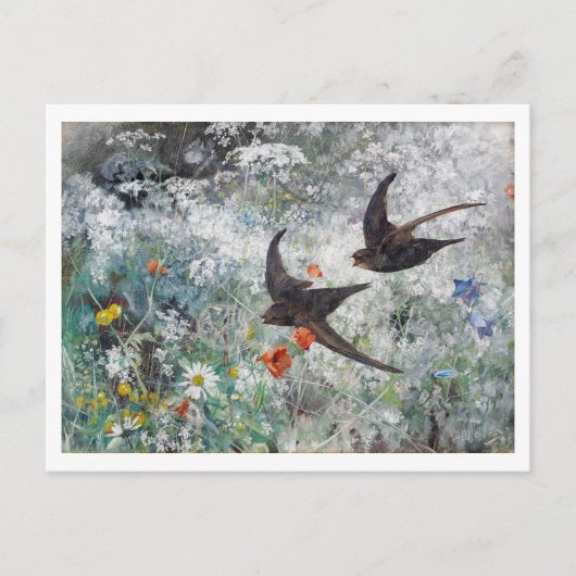 Carte Postale Hirondelle et champ de fleurs, Bruno Liljefors (Devant)