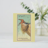 Carte Postale Hirondelle rustique (Debout devant)