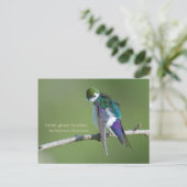 Carte Postale Hirondelle violette (Debout devant)