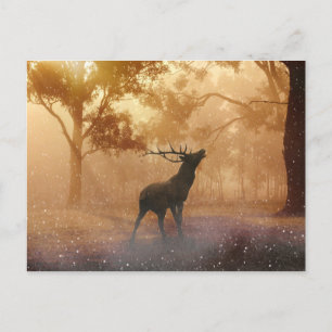 Carte Postale Hirsch magnifique paysage naturel