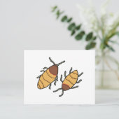 Carte Postale Hisser Cockroach (Debout devant)