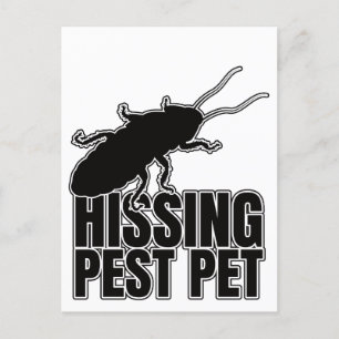 Carte Postale Hisser Cockroaches Cockroach Roach Hisser
