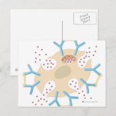 Carte Postale Histamine relâchée de la cellule mât (Devant / Derrière)