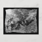 Carte Postale Histoire Apache vintage (Devant)