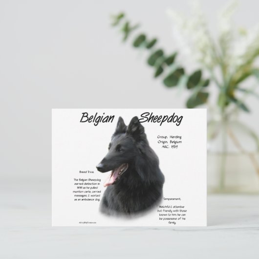 Carte Postale Histoire Belge Du Chien À Cheval; Tout Sur Le Chie (Debout devant)