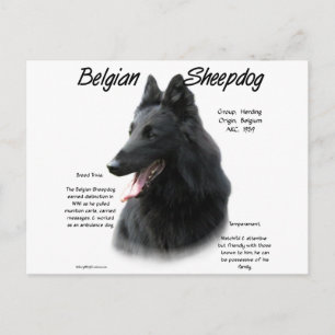 Carte Postale Histoire Belge Du Chien À Cheval; Tout Sur Le Chie