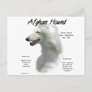Carte Postale Histoire blanche de la hache afghane