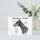 Carte Postale Histoire de Doberman Pinscher noir (Debout devant)