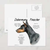 Carte Postale Histoire de Doberman Pinscher noir (Devant / Derrière)