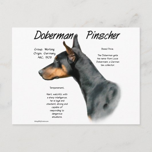 Carte Postale Histoire de Doberman Pinscher noir (Devant)