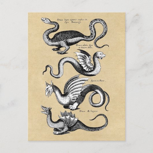Carte Postale Histoire de Dragons Sepia (Devant)