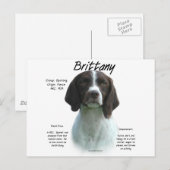 Carte Postale Histoire de l'Espagne (Devant / Derrière)